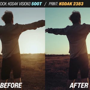 May include: A split image showing a person with arms outstretched in a field at sunset. The left side is labeled "BEFORE" and the right side "AFTER", showcasing a color correction effect. Text at the top reads "STOCK: KODAK VISION3 500T / PRINT: KODAK 2383".