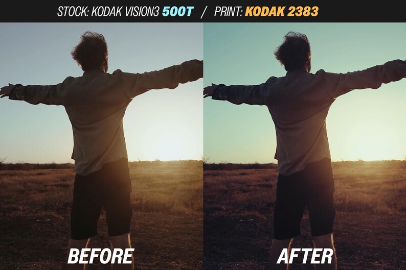 May include: A split image showing a person with arms outstretched in a field at sunset. The left side is labeled "BEFORE" and the right side "AFTER", showcasing a color correction effect. Text at the top reads "STOCK: KODAK VISION3 500T / PRINT: KODAK 2383".