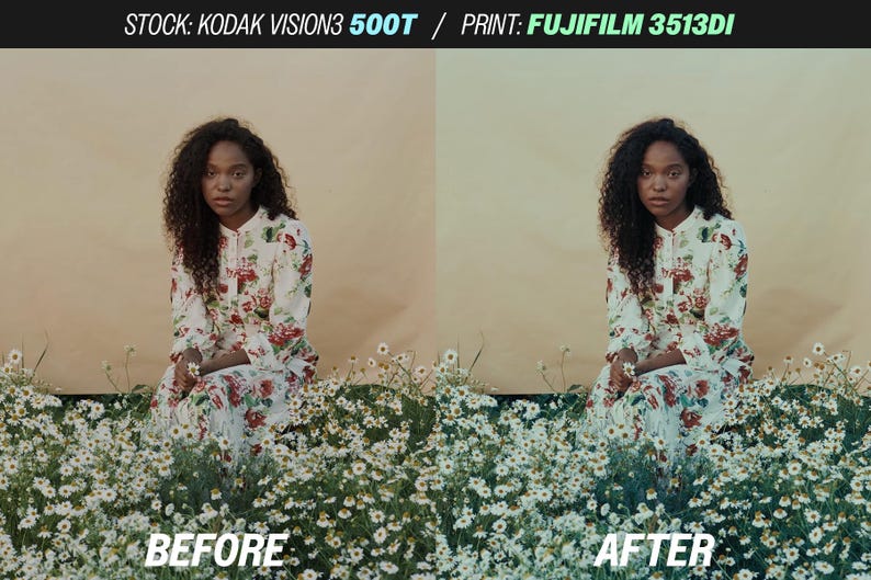 May include: The image shows a woman in a floral dress sitting in a field of white flowers. The dress has red and green floral patterns. The text "BEFORE" and "AFTER" is visible at the bottom of the image, with the text "STOCK: KODAK VISION3 500T / PRINT: FUJIFILM 3513DI" at the top.