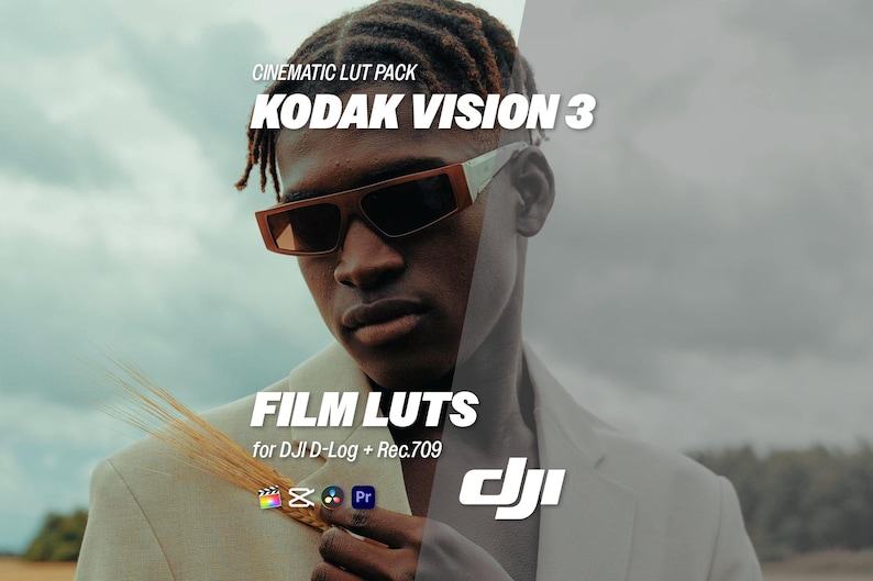 Puede incluir: Una persona con gafas de sol con montura blanca y marr&oacute;n. La imagen incluye el texto "CINEMATIC LUT PACK KODAK VISION 3" y "FILM LUTS for DJI D-Log + Rec.709". La imagen tambi&eacute;n incluye los logotipos de software de edici&oacute;n de v&iacute;deo.