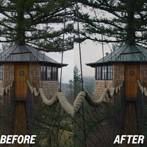 May include: A treehouse with a wooden exterior, a metal roof, and a wooden door. The treehouse is connected to a bridge made of rope and wood. The image has the text "BEFORE" and "AFTER" at the bottom.