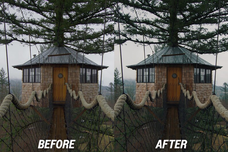 May include: A treehouse with a wooden exterior, a metal roof, and a wooden door. The treehouse is connected to a bridge made of rope and wood. The image has the text "BEFORE" and "AFTER" at the bottom.