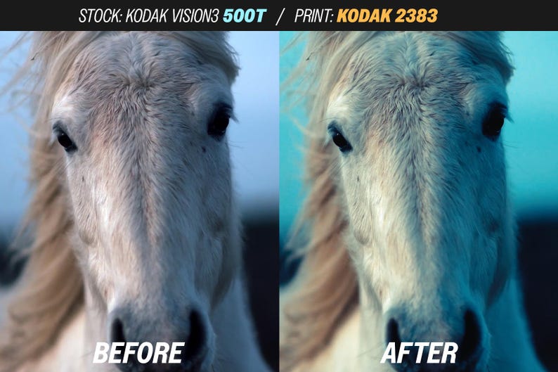 May include: A split image showing a horse's face before and after photo editing. The horse has a white mane and coat, with dark eyes. The text "BEFORE" and "AFTER" are at the bottom of each image. The background is a blurred blue.