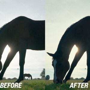 Puede incluir: Silueta de un caballo pastando en un campo verde, con el sol brillando detr&aacute;s. La imagen est&aacute; dividida, con el texto "ANTES" a la izquierda y "DESPU&Eacute;S" a la derecha, mostrando una edici&oacute;n de fotos de antes y despu&eacute;s.