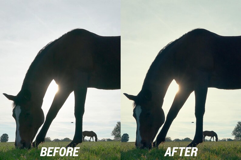Puede incluir: Silueta de un caballo pastando en un campo verde, con el sol brillando detr&aacute;s. La imagen est&aacute; dividida, con el texto "ANTES" a la izquierda y "DESPU&Eacute;S" a la derecha, mostrando una edici&oacute;n de fotos de antes y despu&eacute;s.