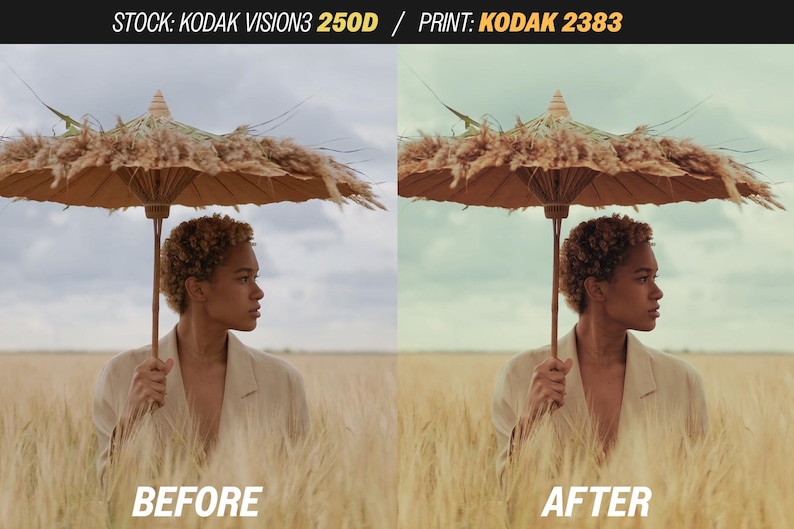 May include: A split image showing a person in a field of wheat, holding a decorative umbrella. The left side is labeled "BEFORE" and the right side is labeled "AFTER". The umbrella has a light brown canopy and a wooden handle.