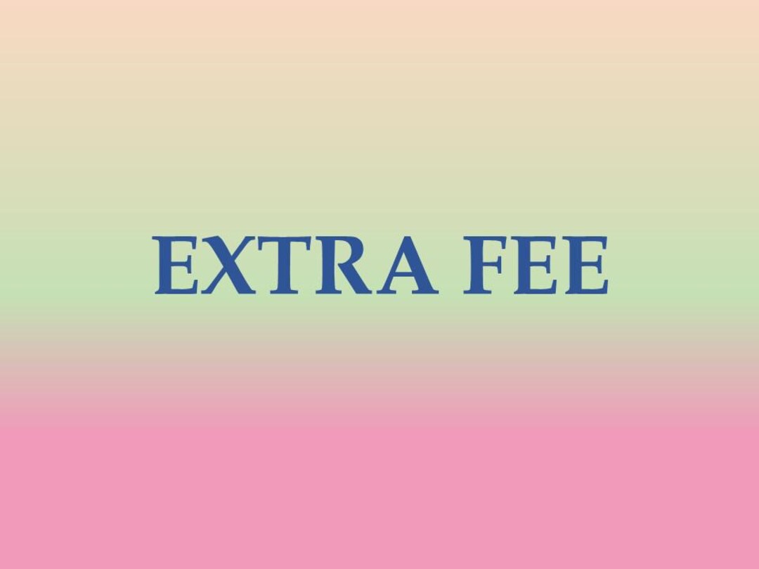 Extra Fee/express Shipping - Etsy