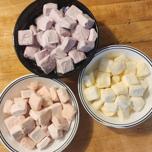 Freeze Dried Snacks - Yogurt Bites - Vanilla, Strawberry, Blueberry, Peach or Mixed - Easy on the go Snack - Smoothies