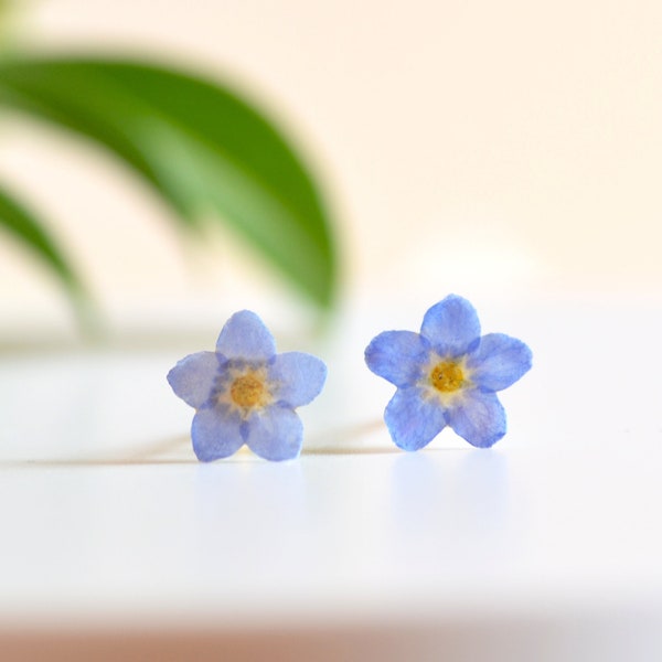 non ti scordar di me orecchini con veri fiori pressati di myosotis con chiusura a farfalla oro o argento acciaio, orecchini donna in resina