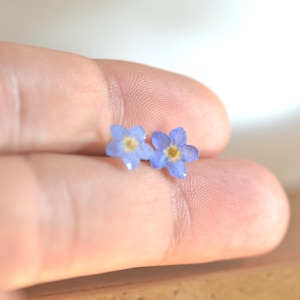 Pendientes nomeolvides con flores de miosotis prensadas reales con cierre de mariposa de acero dorado o plateado, pendientes de mujer en resina imagen 4