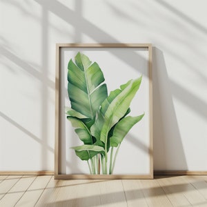 Stampa artistica ad acquerello foglia di banana - Decorazione da parete tropicale - Poster giungla botanica - Stampa artistica foglia verde per casa e ufficio