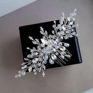 Può includere: Un pettine per capelli da sposa argentato con un design floreale. Il pettine è adornato con cristalli trasparenti e sfaccettati di varie dimensioni, creando un accessorio scintillante ed elegante. I cristalli sono disposti su delicati rami di filo.