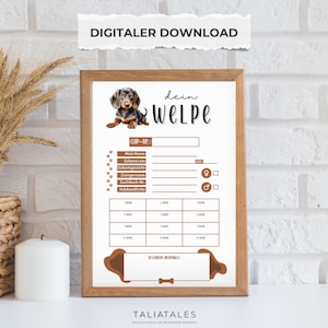 Kartei Karte Welpen | Hundewelpe Dackel Dachshund Teckel Rassehund | Hunde Züchter Karte | Welpe Merkmale | Digitaler Download 2 Stk