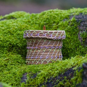 May include: A small, woven basket with a light brown base and purple and green accents. The basket is sitting on a bed of green moss.