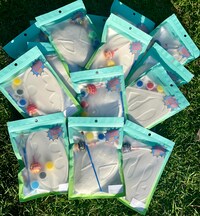 Handmade Bluey Themed Plasters Party Favours