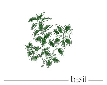 Fichier machine à broder aux herbes - Fichier de plante de basilic à téléchargement immédiat - Impression numérique botanique de basilic - Fichier numérique d'herbes de cinq tailles