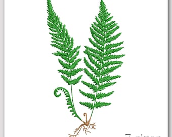 Fern embroidery design - Botanical embroidery file - Nature-inspired leaf embroidery - Green plant roots stitch pattern - 7 sizes