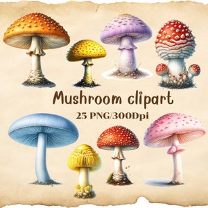 Aquarelle champignon vénéneux Clipart 25 PNG/300 dpi téléchargement numérique