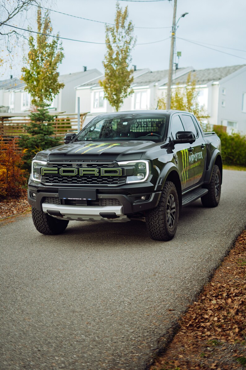 RAPTOR EMBLEM DECALS - Etsy