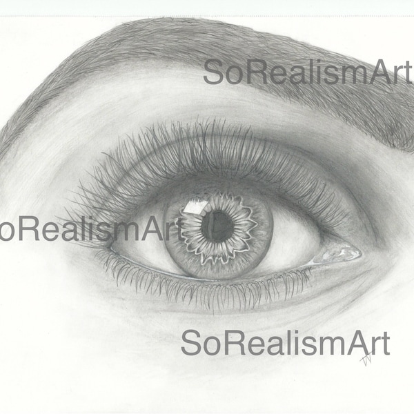 Hyper realistic drawing, original drawing of an eye in graphite pencil, aquatic, realism