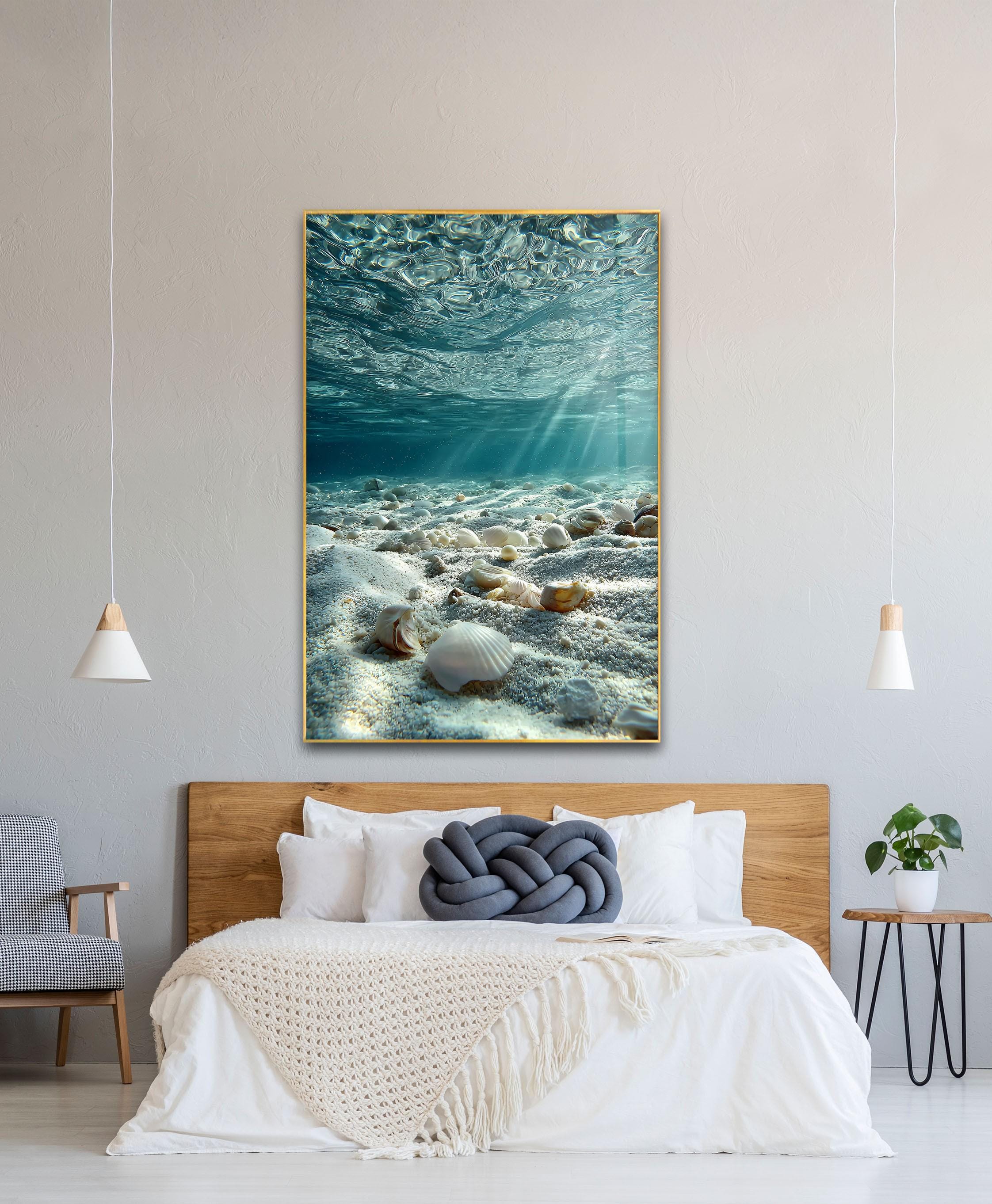 Seashell Tempered Glass Wall Art – Ocean Floor Coastal Photography - Etsy