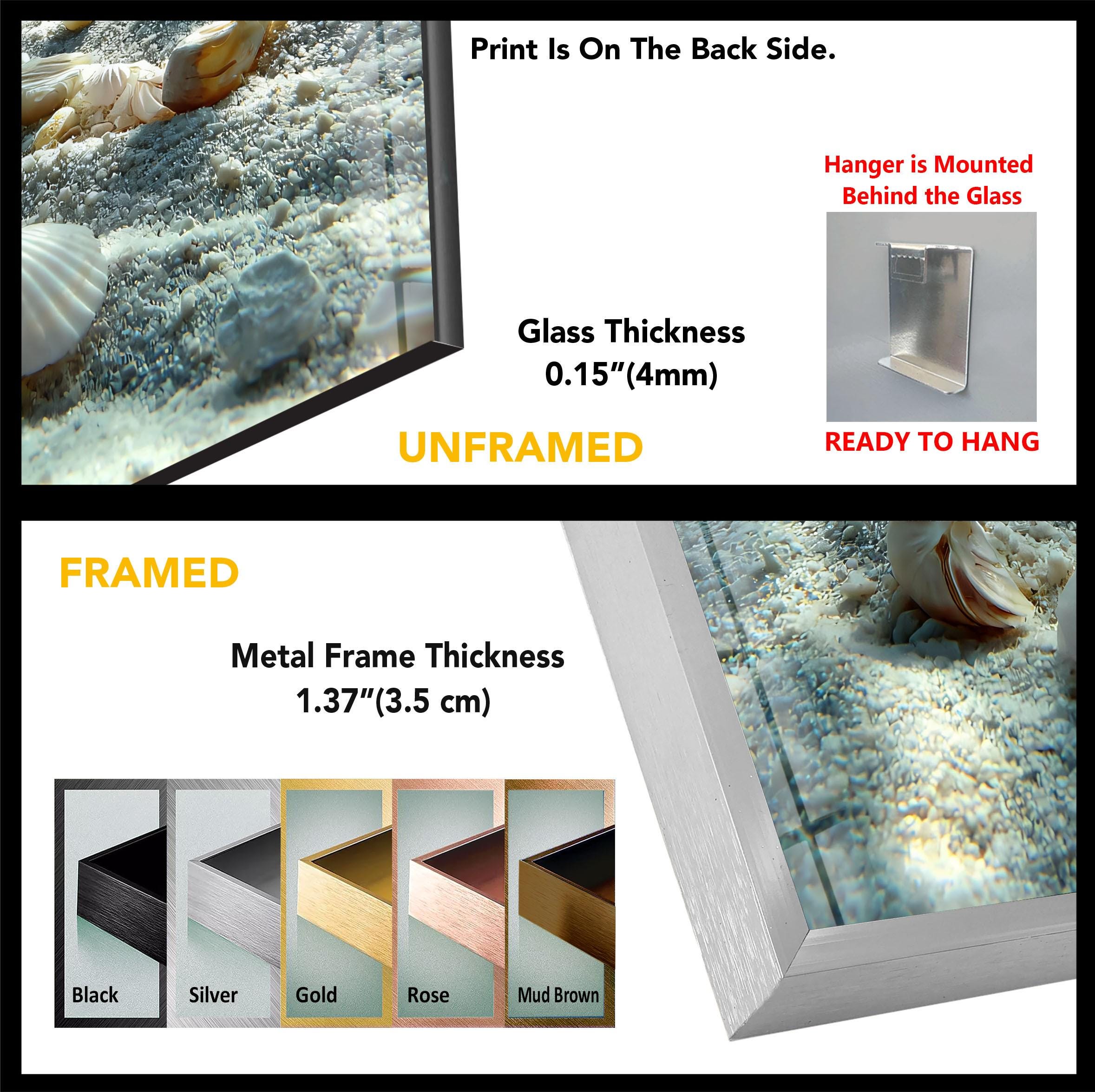 Seashell Tempered Glass Wall Art – Ocean Floor Coastal Photography - Etsy