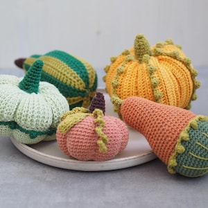 Crochet Pumpkin Instructions: 5 Variations - Ornamental Pumpkin, Pumpkin, Squash, Gourd - Amigurumi Vegetables - Autumn Decoration Halloween - German and English