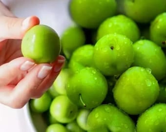 Fresh Green Plums, Natural Green Plum Fruit, Organic Juicy Plums, Erik, Sour Plum, Spring Fruit, Fast Shipping