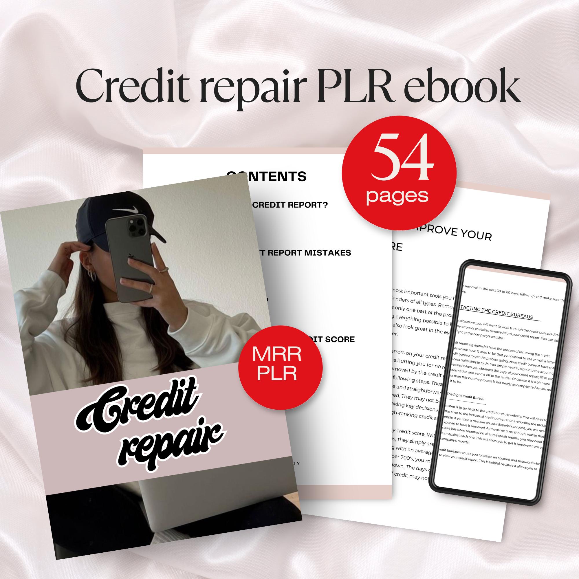 Credit Repair PLR Ebook Editable Canva Template, Improve Credit Score ...