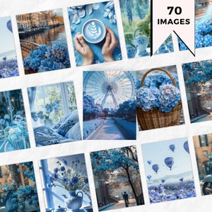 70 Blue Floral images Instagram Story e Post Images |Digital Product with Master Resell Rights  e Private Label Right