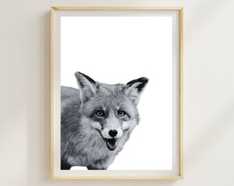 面白いキツネの顔写真：モノクロの動物プリントアート - Etsy 日本
