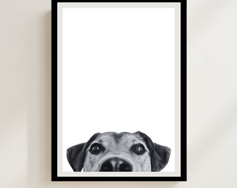 Fotografía divertida de cachorro: Impresión artística monocromática de perro