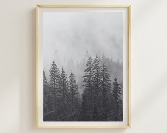 Black and White Forest Print, Misty Woodland Tree Photography
