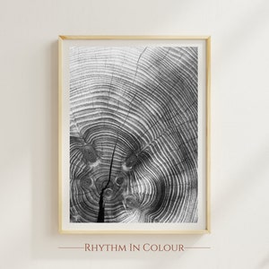 Tree Trunk Photography Poster Black and White Woodland Print Forest Poster Grey Tree Trunk Poster Gift for Nature Lover Wood Photography Art