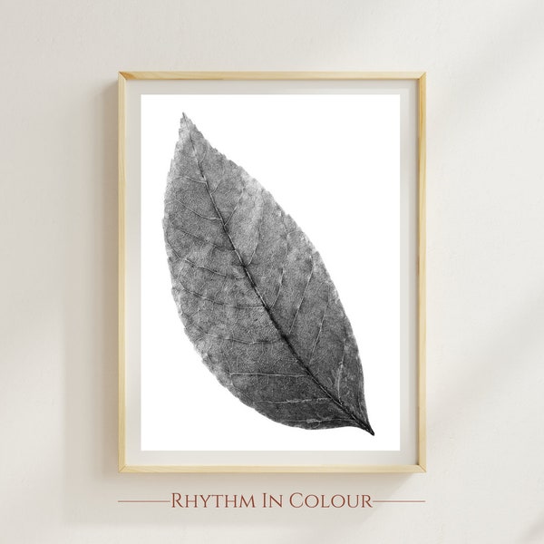 Leaf Photography Prints Tree Leaf Poster Leaves Print Black and White Photography Nature Photography Noir Leaf Photograph Minimalist Nature