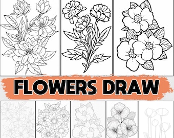 Flower Drawing Tutorials: Beginner Guide with Worksheets (PDF & PNG)