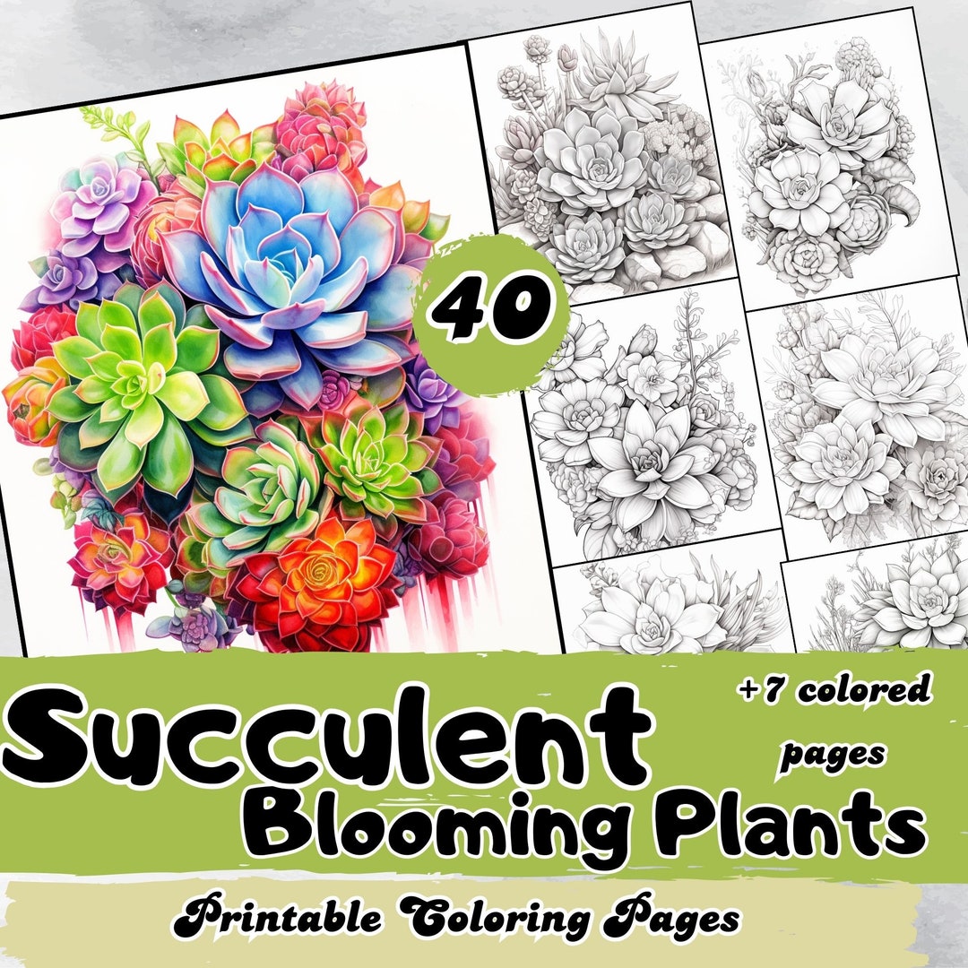 Floral Coloring Page, Succulent Blooming Plants: Captivating Coloring ...