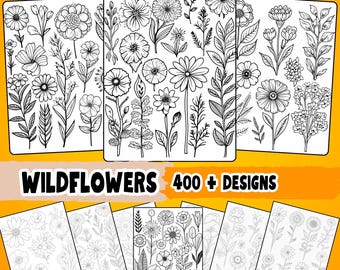 Wildblumen Zeichnung Mega Bundle, Floral Design Tutorials (PDF)