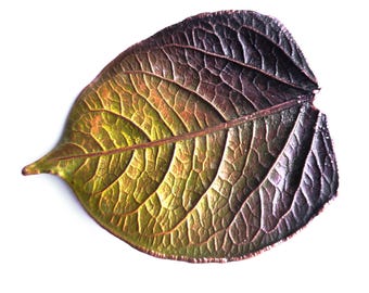 Electroformed Copper Knotweed Leaf Brooch, Patinated Botanical Jewelry