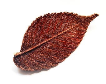 Handmade  copper elm leaf brooch, patinated botanical jewelry