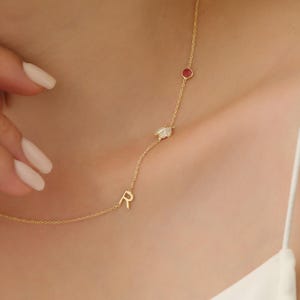 Collar de mariquita personalizado, collar de animal con piedra de nacimiento, joyería pequeña, regalo perfecto, joyería hecha a mano, regalo de cumpleaños para ella, regalo para mamá