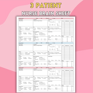 3 Patient Nursing Report Sheet, Nurse Brain Med Surg ICU Report Sheet Nurse Handoff Tool Nursing Notes Guides, Printable A4 US Letter