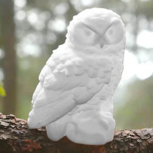 Op de afbeelding: Witte keramische uil-figuur met gedetailleerde veren en een geposeerde houding. De uil zit op een tak.