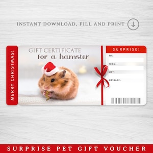 Vale-presente digital para hamster, vale-presente para hamster para impressão, vale-presente para animal de estimação, presente surpresa para hamster, ideia para animal de estimação de Natal