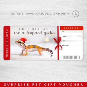 Puede incluir: Un certificado de regalo rojo y blanco con un gecko leopardo que lleva un gorro de Papá Noel. El certificado dice "Certificado de regalo para un gecko leopardo" y "¡Feliz Navidad!" El certificado también tiene una sección para "Para:", "De:", "Regalo:" y "Mensaje:".