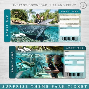 Digital DISCOVERY COVE Surprise Trip Gift Ticket,  Amusement Park Printable ticket, Trip reveal gift, Printable Vacation Ticket Sea world