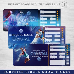 CRYSTAL Show Ticket, Cirque du Soleil Überraschungskarte, Überraschungskarte, personalisiertes Geschenk offenbaren, Souvenir Show-Andenken