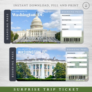 Billet-cadeau numérique WASHINGTON DC voyage surprise, carte d'embarquement imprimable, billet de vacances imprimable WASHINGTON, billet de voyage, billet de vacances