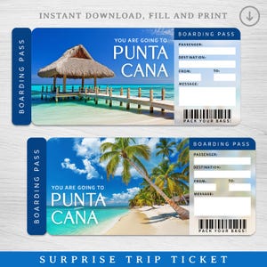 May include: Two blue boarding pass tickets with tropical beach scenes. The tickets read "You are going to Punta Cana" and include fields for passenger details. Text at the bottom says "Surprise Trip Ticket". The top ticket shows a pier and hut.