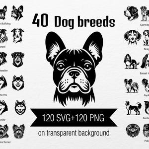 120 images de races de chiens, 40 races, husky, corgi, carlin, shih tzu, border collie, chihuahua, maltais, bouledogue, spitz, cliparts, SVG, impression